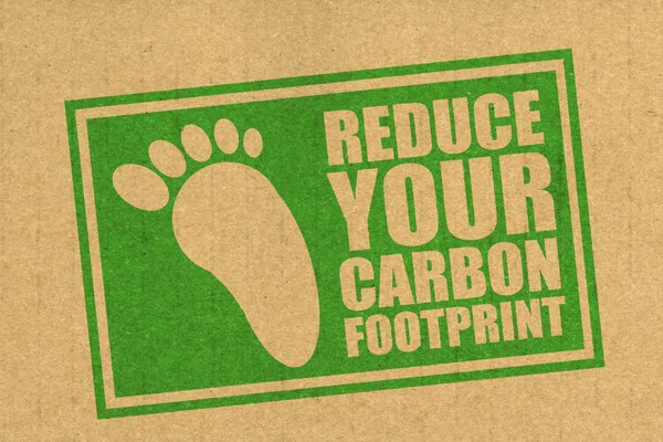 Why Recycling Is Important for Businesses Troupe Waste & Recycling