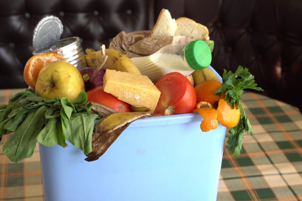 Reduce Food Waste this Holiday Season - Troupe Waste and Recycling Hanover, MA