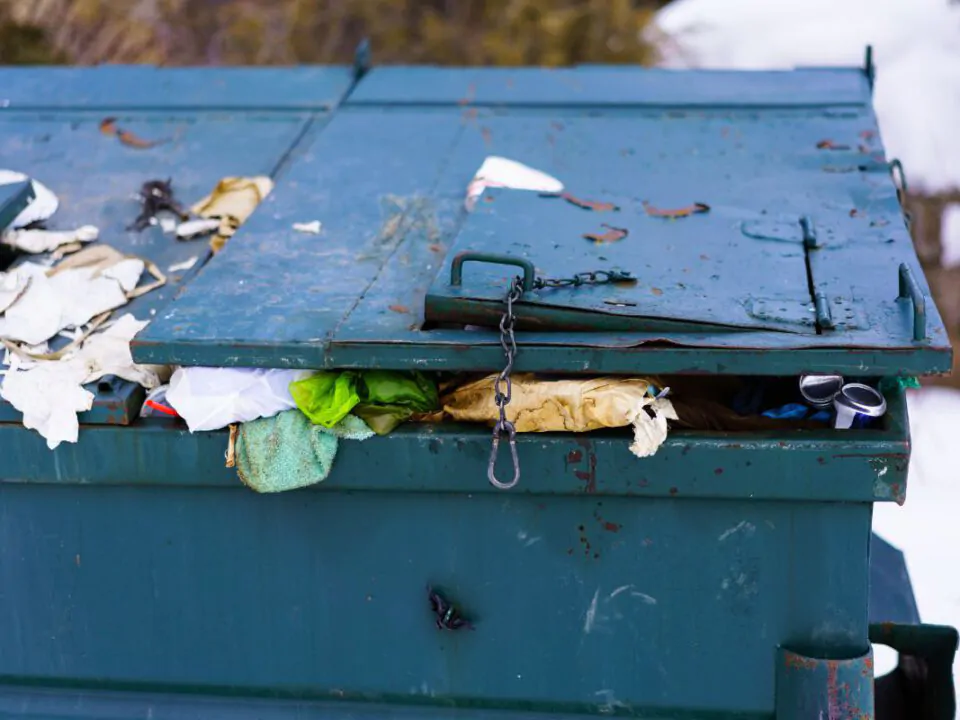 Troupe Waste and Recycling Tips to Reduce Waste at Home During the Holidays East Bridgewater MA