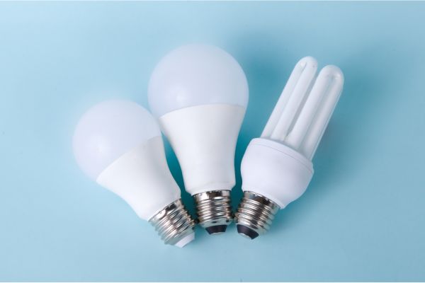 Disposing Different Types of Light Bulbs