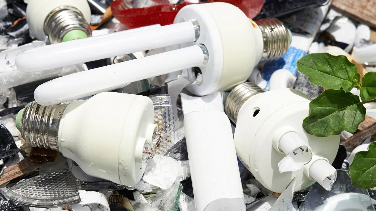 Damage Light Bulbs in Dumpster