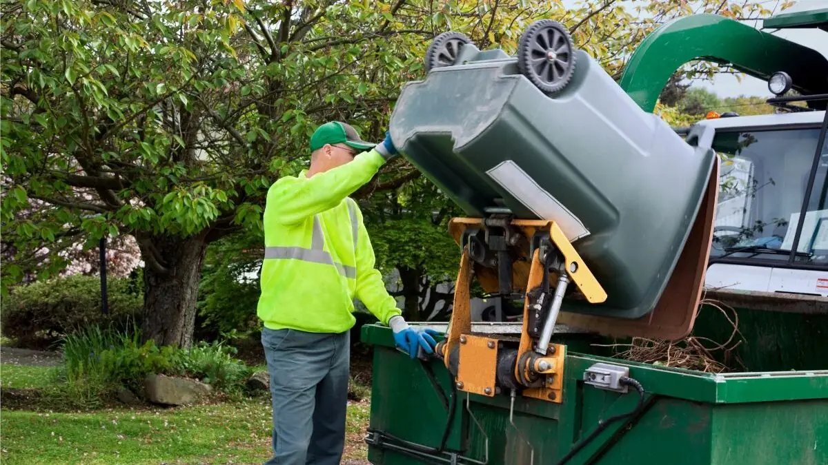 Yard waste removal by dumpster worker