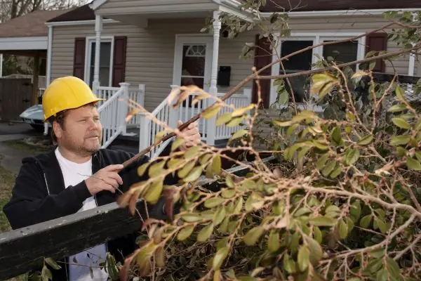 dumpster company getting rid of yard waste