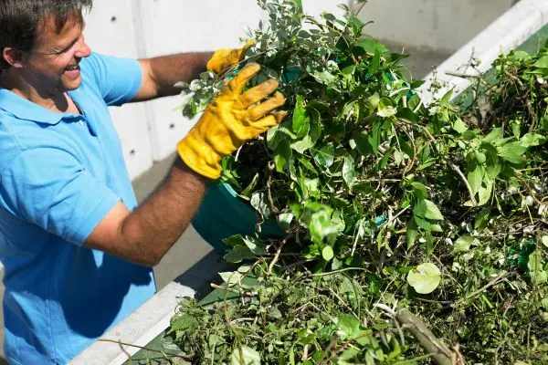 man dumping yard waste