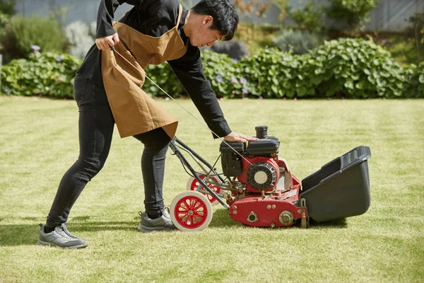 Efficient Lawn Mower Disposal Methods Troupe Waste & Recycling