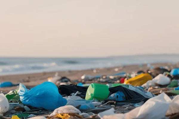 Understanding Summer Waste Challenges for Commercial Properties Troupe Waste & Recycling