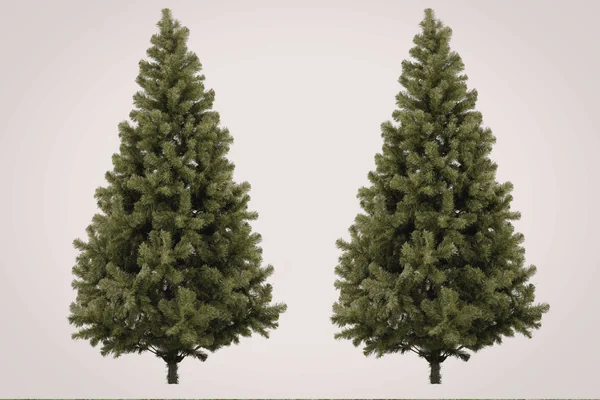 How to Get Rid of an Artificial Christmas Tree Disposal and Recycling Options Troupe Waste & Recycling