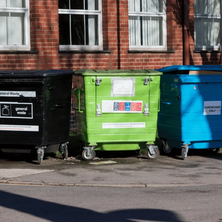Dumpster Rental Option for Local Homes and Businesses Troupe Waste & Recycling