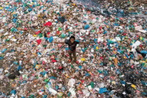 Hiring a commercial Waste Disposal Service Troupe Waste & Recycling