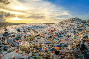 Start Your Recycling Efforts Today with Troupe Waste and Recycling! Troupe Waste & Recycling