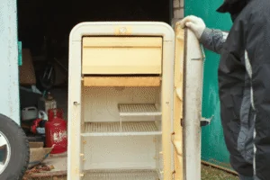 Why Refrigerator Removal is Important Troupe Waste & Recycling